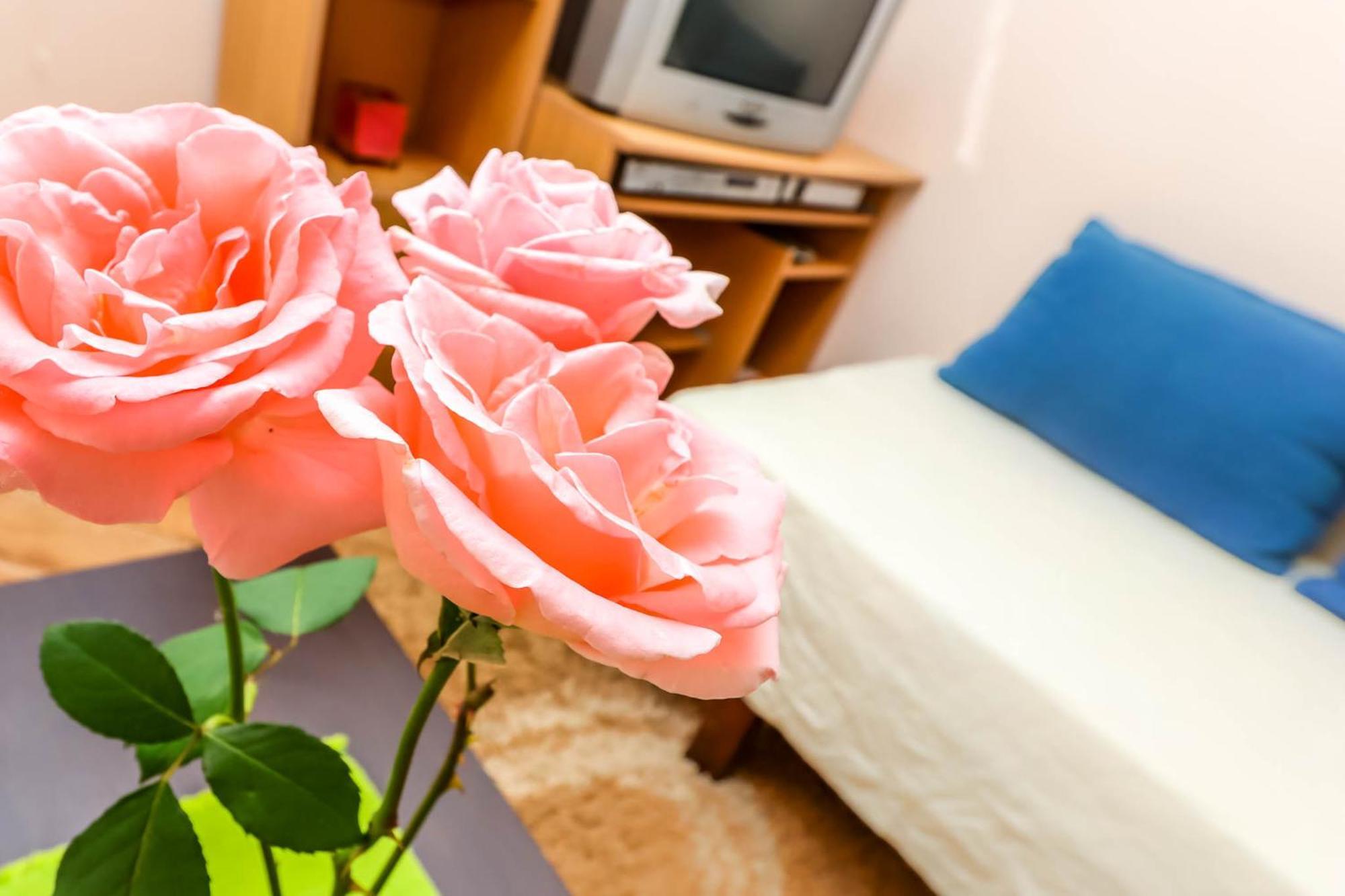 Apartments Zeko دونجي مورينج المظهر الخارجي الصورة